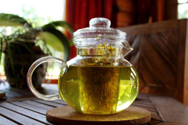 Dandelion Tea in a Glass Teapot