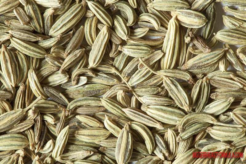 fennel-seeds-for-breast-enlargement-the-definitive-guide