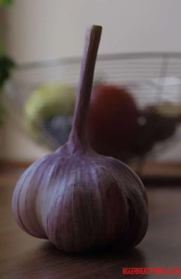 Purple Garlic Bulb